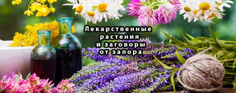 Лекарственные растения и заговоры от запора